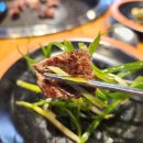 착한한우한돈