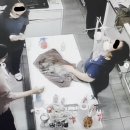 청원동물병원 이미지