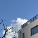 딤스튜디오