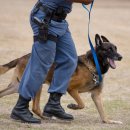 베이지동물병원 이미지