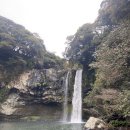 천지연 폭포 이미지