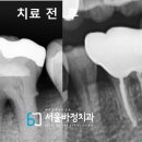 서울바정치과의원 이미지