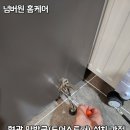 (주)세경금속 화성지점 | 안성 공도 현관문 도어스토퍼(말발굽) 시공 후기 비용