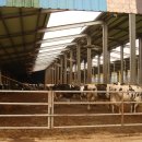 젖소목장 이미지