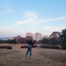 총무공동 공영자전거 무료대여소 | [제8회 대전광역시 블로그 공모전 응모작] 가을 도심 속 문화유적과 함께 하는 나만의 대전 힐링 코스...