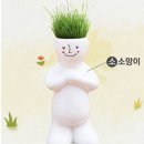 정원헤어 이미지