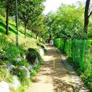 골프장둘레길 이미지