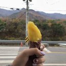 홍유상회 이미지