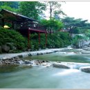 야생화펜션 이미지