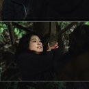 경이네 이미지