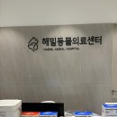 해밀동물병원 | 김해 | 김해동물병원 “해밀동물의료센터”강아지 십자인대 수술 상담 후기!! 주말에도 하는 동물병원