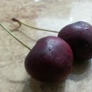 달콤한 체리 Cherry, 체리 효능 및 체리 칼로리 이미지