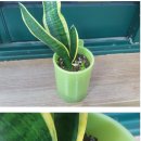 정화 태권도장 이미지