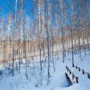 인제16-2 이미지