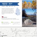 인제19-1 Daum카페