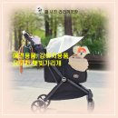 마니또사랑 | 애견용품 강아지 유모차 햇빛가리개 추천 마니또 선셰이드 내돈내산 후기, 꿍이랑 찰떡템