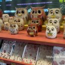 허브나무 이미지