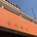 웅이네야채생선 | [제주도] 반려동물 동반 식당