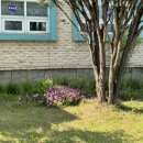 원승두길 이미지