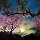 11500-15-12-26 | [요나고] [여행준비] 251224~26 | 땡처리닷컴 후기, 서울역 아렉스 직통열차, 마이뱅크 여행자보험, JR...