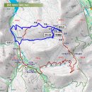도깨비계곡산장 | 307. 완주 대부산 / 2025.4.6. / 산타바바라 산행이야기83