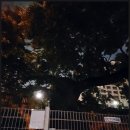 별화당 - 전주시 완산구 관선5길 16 | 별화당