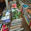 미모힐링카페 이미지