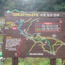 팔공산금화자연휴양림 이미지