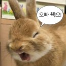 아직 작년에 머물러있는 여자