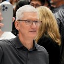 애플태양광발전소4 이미지