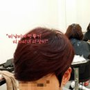 미남커트염색 이미지