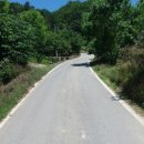 금실공인중개사사무소 이미지