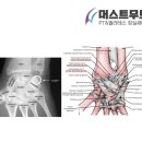 머스트무브짐 PT&Pilates 잠실새내 4호점 이미지