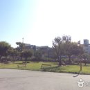 곡성문화원 티스토리