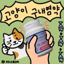 혜민한방병원 | 고양이 구내염 약 아나파M 후기