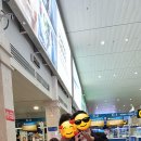 짝국제결혼