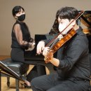 바이올린(야간) 이미지