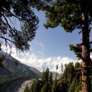 112.페어리 메도우(Fairy Meadow.3,350m)의 환상적 아침...낭가파르밧(Nanga Parbat 8,126m)을 훤히 보여주다 이미지