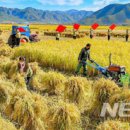 해관농장 이미지