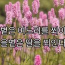 에이엠메디칼 | 기미 문제성피부 케어 후기｜데카코리아 옥시젠(공기) + 문라이트 아로마 세럼