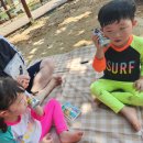 강화엘라움키즈풀빌라펜션 | 강화도 동막해변 키즈풀빌라 아이랑 수영장 물놀이 펜션