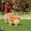 권순호농장 이미지