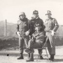 동경사 이미지