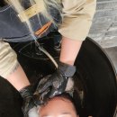 주정차단속-40 | 가을에 어울리는 분위기있는 톤다운 염색 &#39;보그헤어 초지점&#39; 블랙염색후기