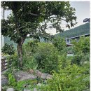 느린오후 이미지