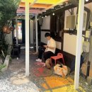 두꺼비 애견 이미지