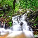 성남시청 모란관 이미지