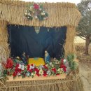 성당농업협동조합 이미지