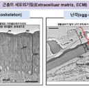친환경곤충연구소 네이버블로그