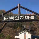 고기랑산채랑 이미지